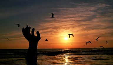 Homigot Sunrise Festival