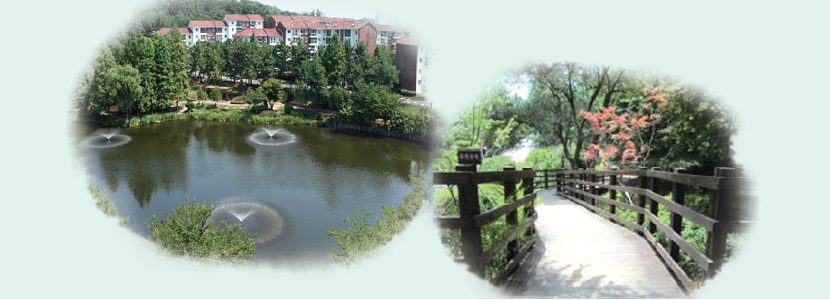 チゴクヨンイルデ（芝谷迎日台）＆チョンソンデ（青松台）森の道