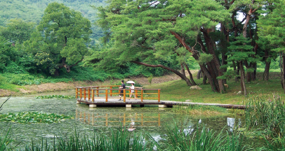 Beautiful Forest of Deok-dong Munhwa Village