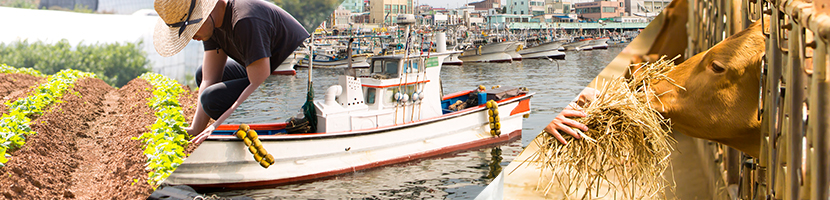 Overall condition of agricultural, 株式