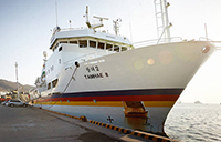 text descriptive image