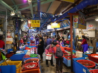 竹岛市场活鱼销售胡同